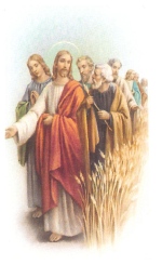 Jézus és az apostolok